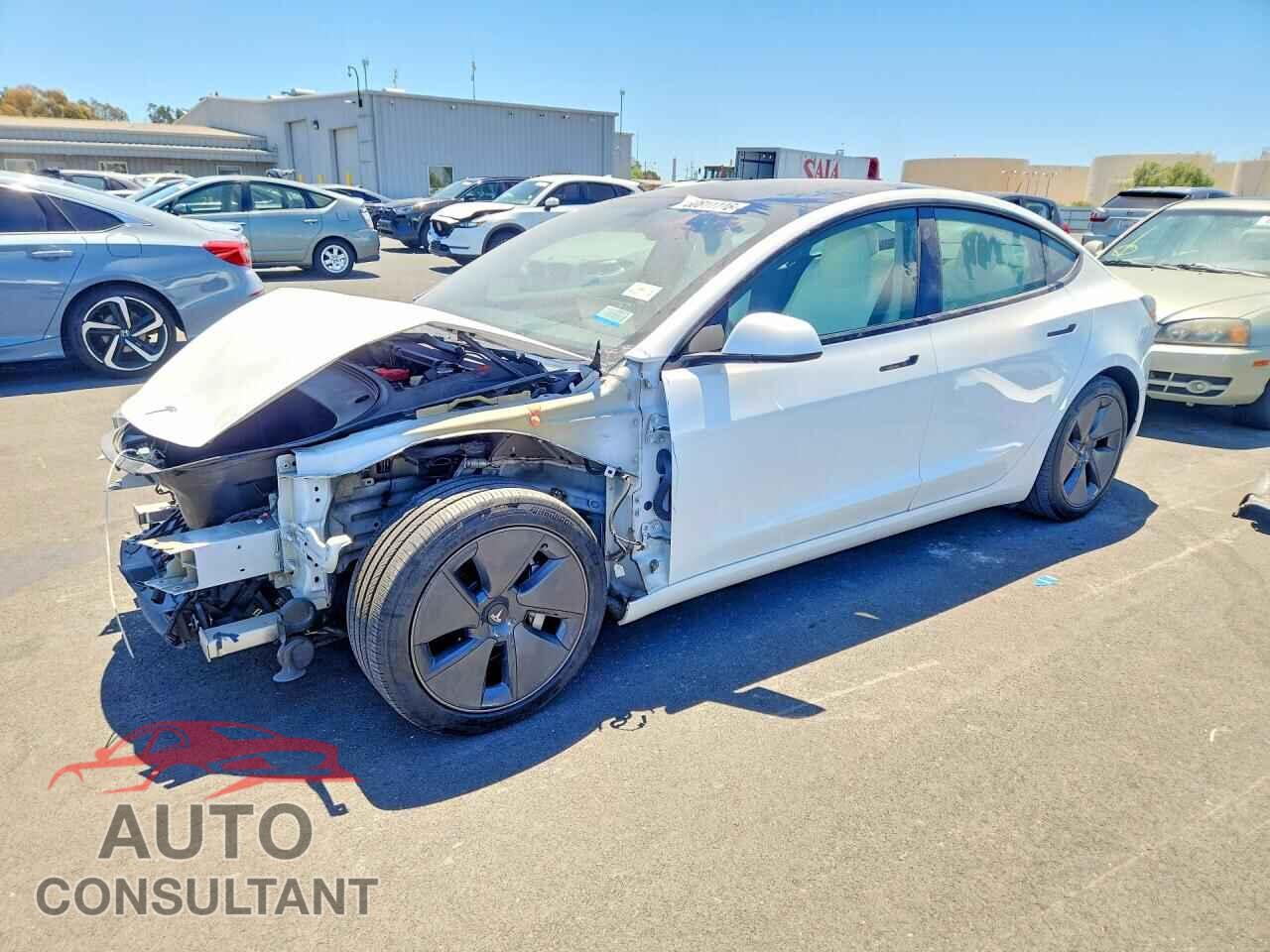 TESLA MODEL 3 2021 - 5YJ3E1EA2MF019016