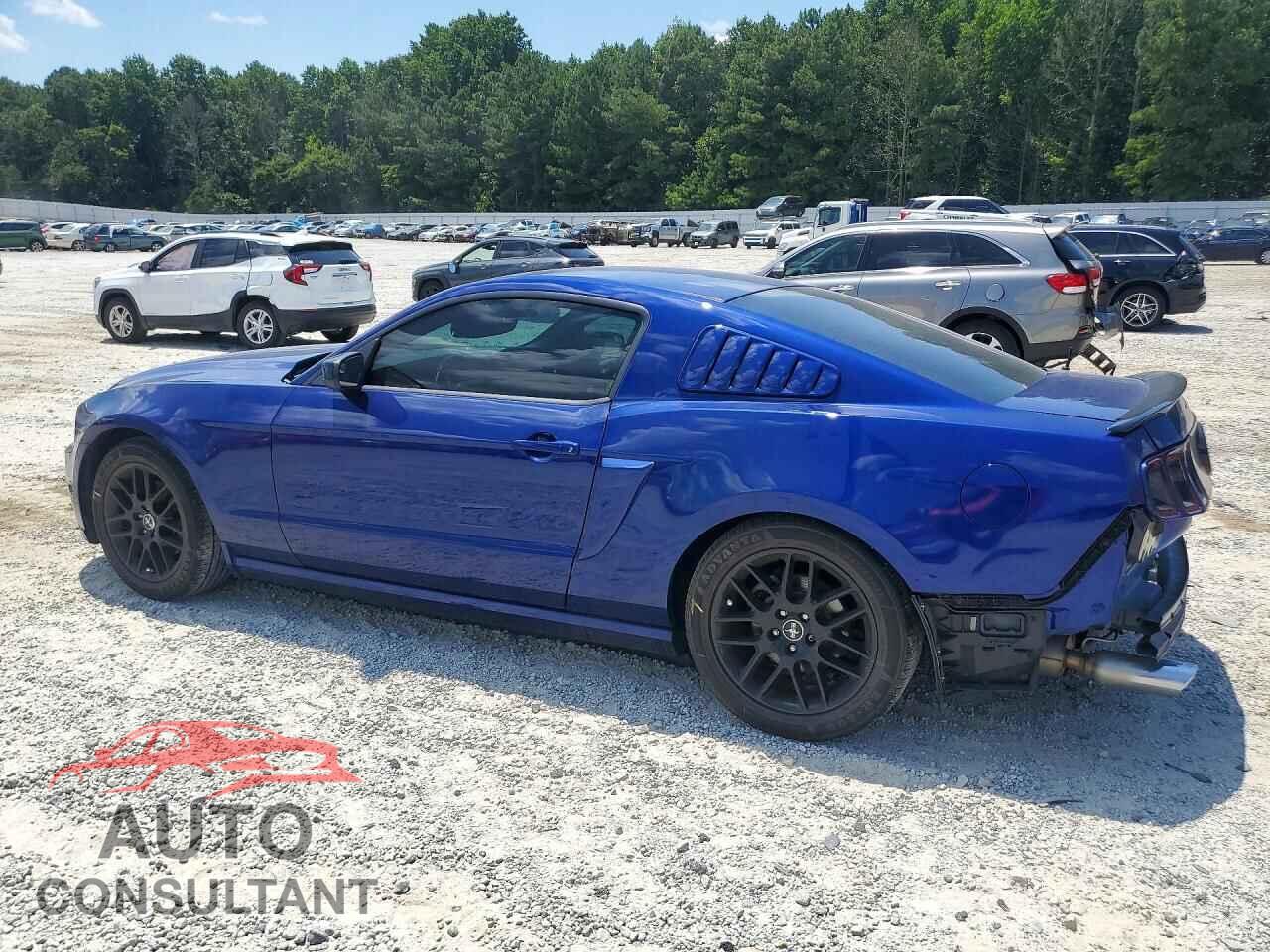 FORD MUSTANG 2014 - 1ZVBP8AM1E5261455
