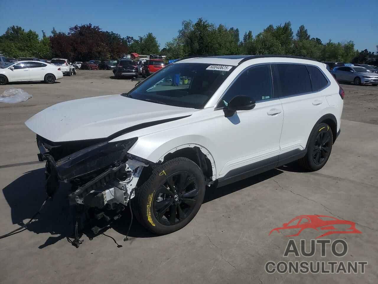 HONDA CRV 2023 - 2HKRS6H92PH800514