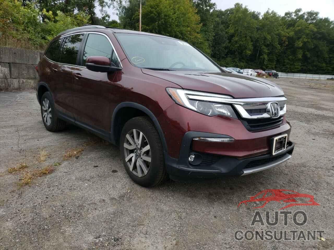 HONDA PILOT 2019 - 5FNYF6H52KB039083