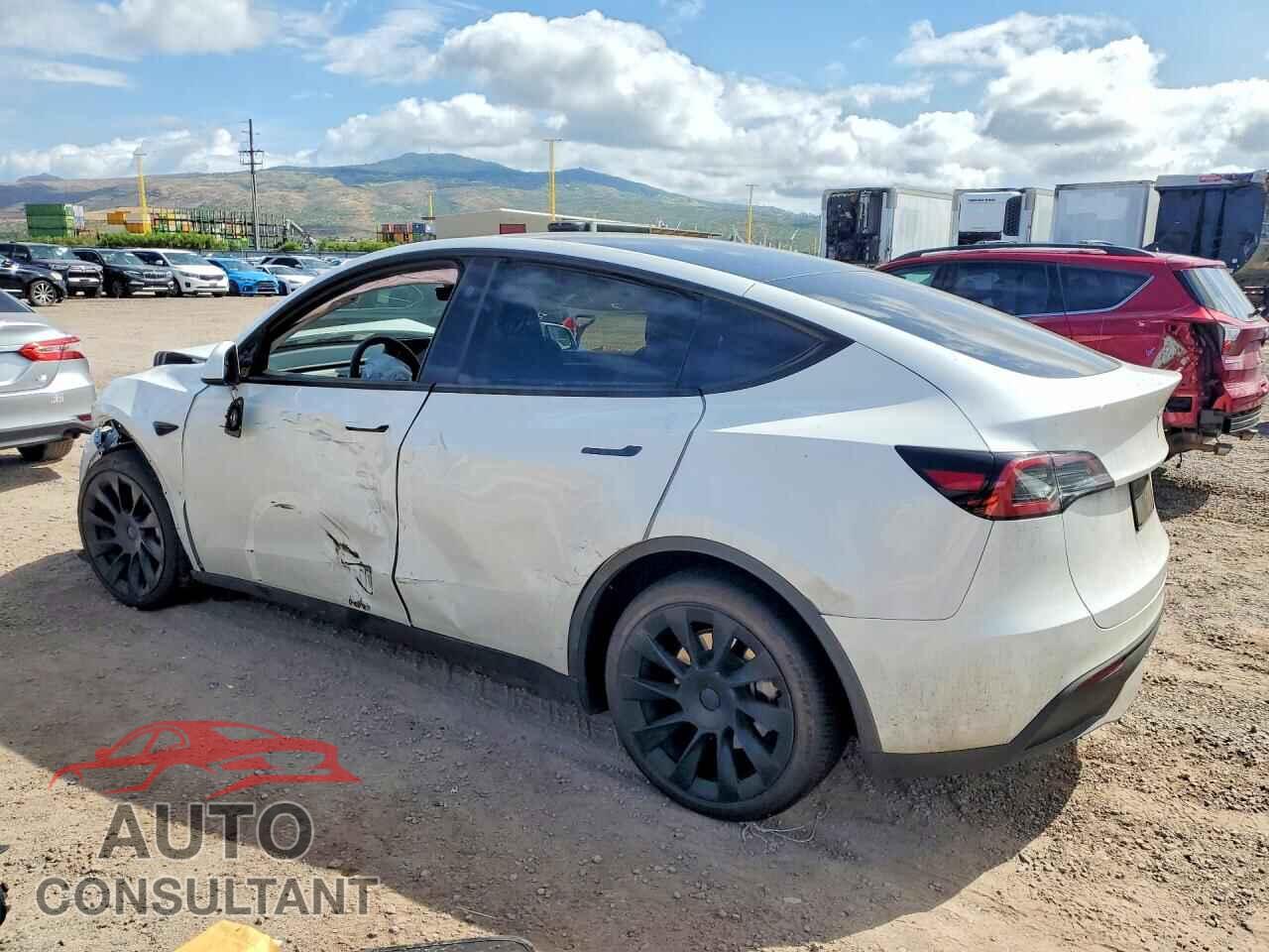 TESLA MODEL Y 2024 - 7SAYGDED0RF102563
