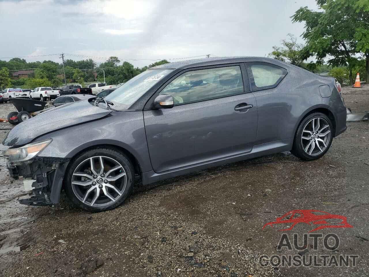 TOYOTA SCION 2019 - JTKJF5C75GJ015583