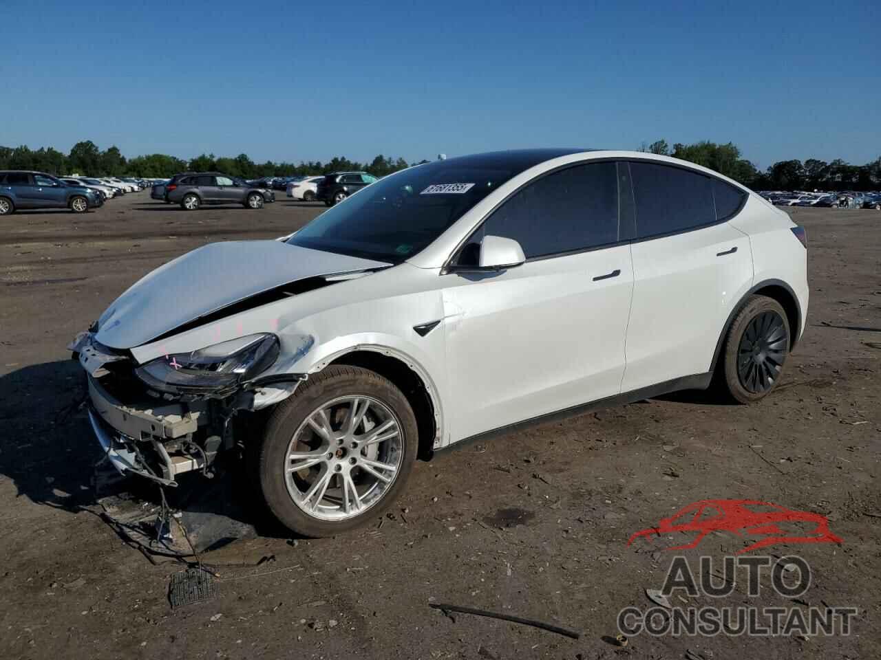TESLA MODEL Y 2021 - 5YJYGDEE7MF082522
