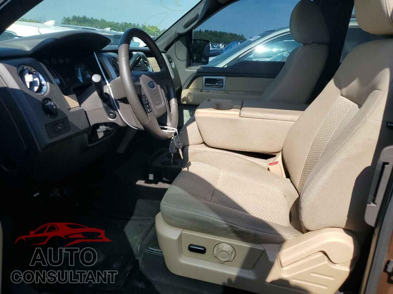 FORD F-150 2011 - 1FTFX1EF2BFC46430