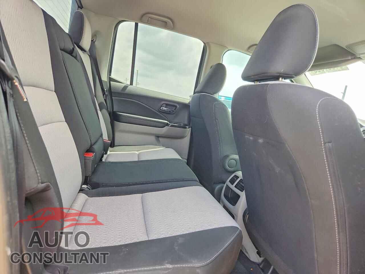 HONDA RIDGELINE 2019 - 5FPYK2F21KB005656
