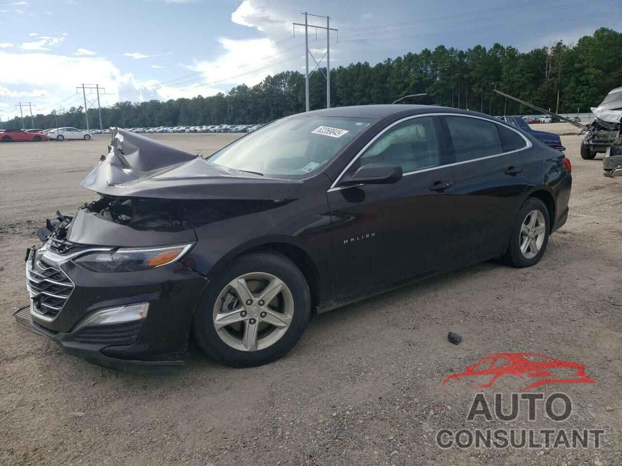 CHEVROLET MALIBU 2020 - 1G1ZB5STXLF156885