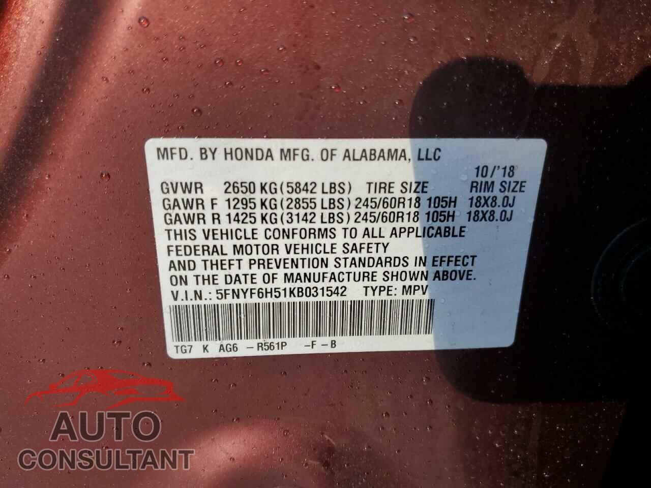 HONDA PILOT 2019 - 5FNYF6H51KB031542
