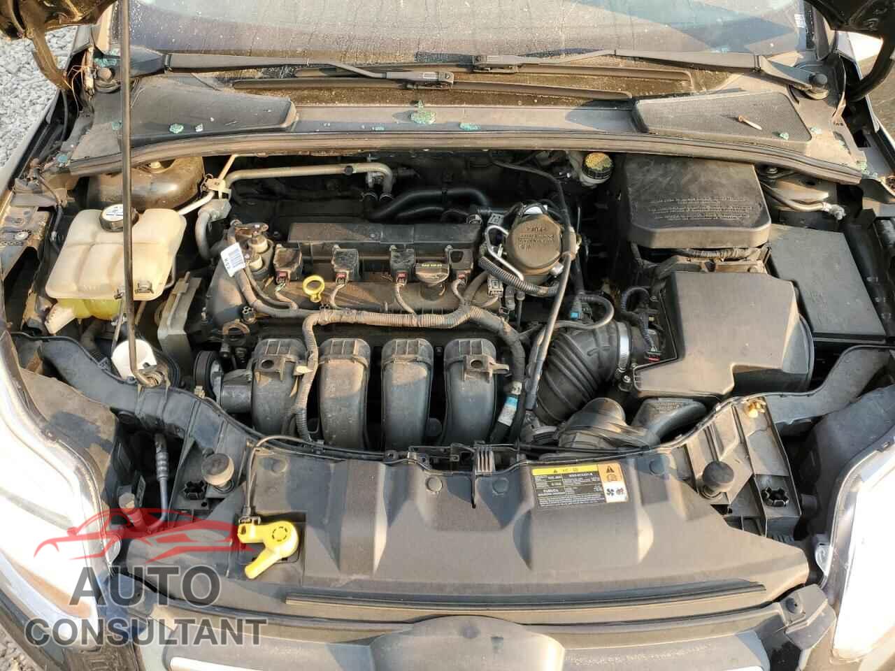 FORD FOCUS 2013 - 1FADP3F25DL308282