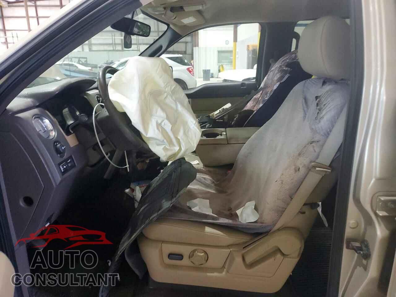 FORD F150 2010 - 1FTFW1EV8AFD64961