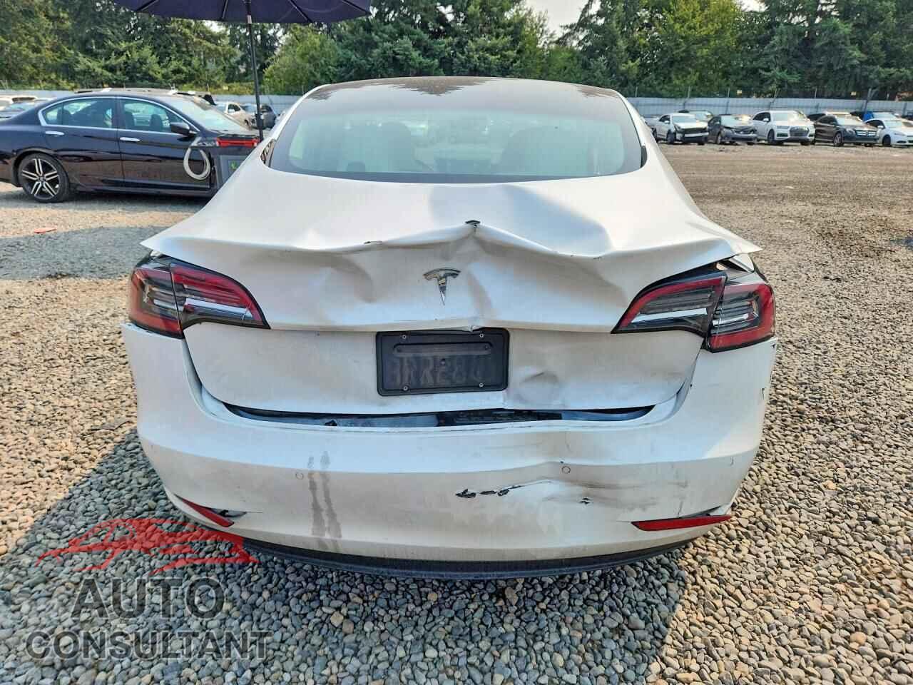 TESLA MODEL 3 2020 - 5YJ3E1EA5LF738291