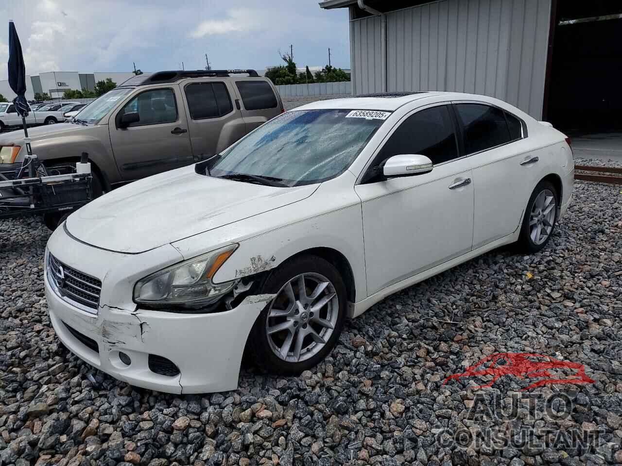 NISSAN MAXIMA 2011 - 1N4AA5AP7BC847017