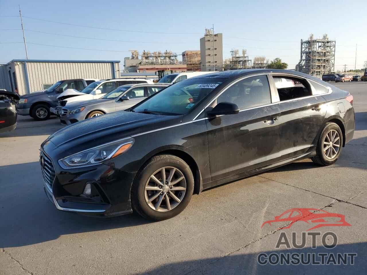 HYUNDAI SONATA 2019 - 5NPE24AF5KH781758