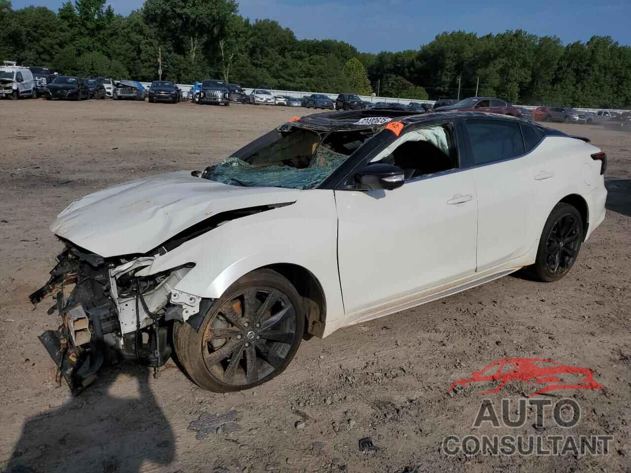 NISSAN MAXIMA 2019 - 1N4AA6AV8KC366617
