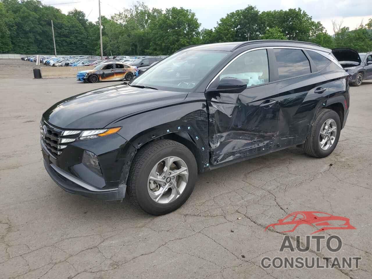 HYUNDAI TUCSON 2024 - 5NMJBCDE7RH384006