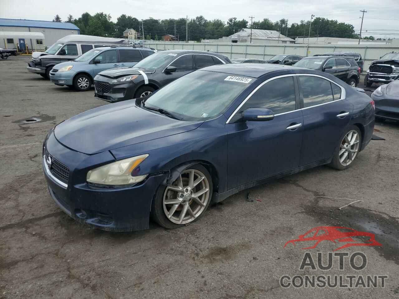 NISSAN MAXIMA 2010 - 1N4AA5AP0AC856141
