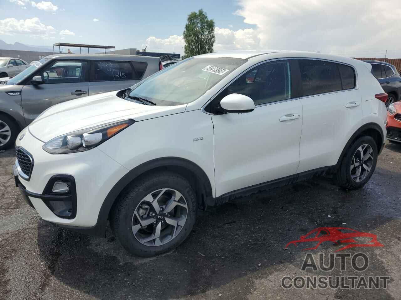 KIA SPORTAGE 2022 - KNDPMCAC4N7981302