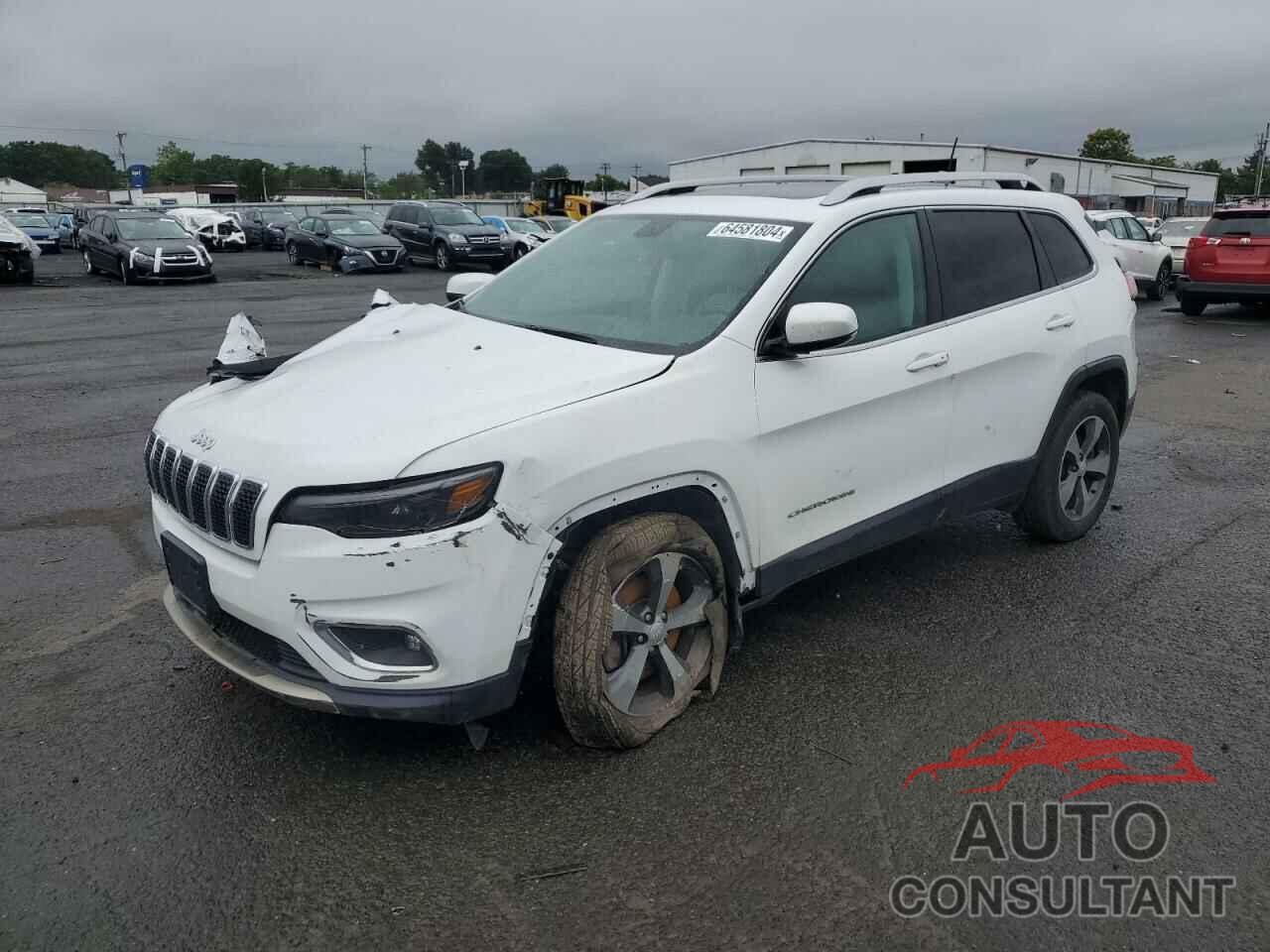 JEEP GRAND CHER 2019 - 1C4PJMDX5KD251943