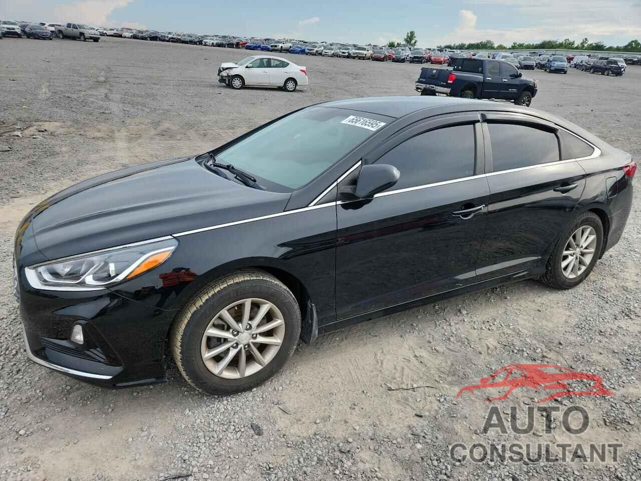 HYUNDAI SONATA 2019 - 5NPE24AF7KH807261
