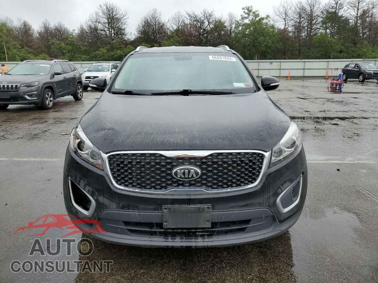 KIA SORENTO 2017 - 5XYPGDA58HG209813