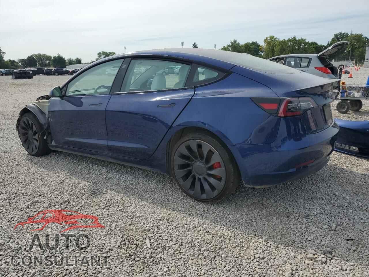 TESLA MODEL 3 2021 - 5YJ3E1EC9MF013411