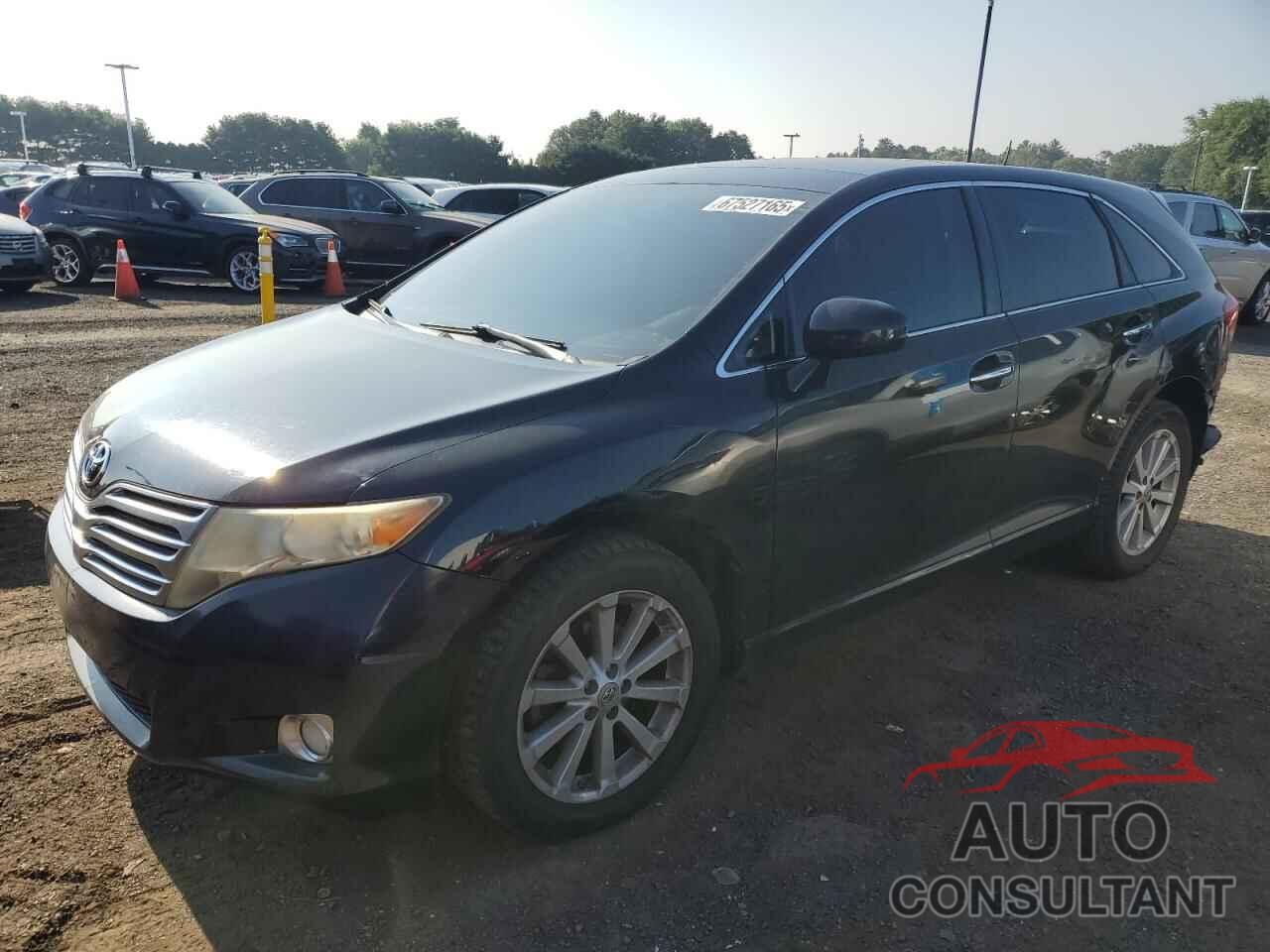 TOYOTA VENZA 2010 - 4T3ZA3BB3AU021913