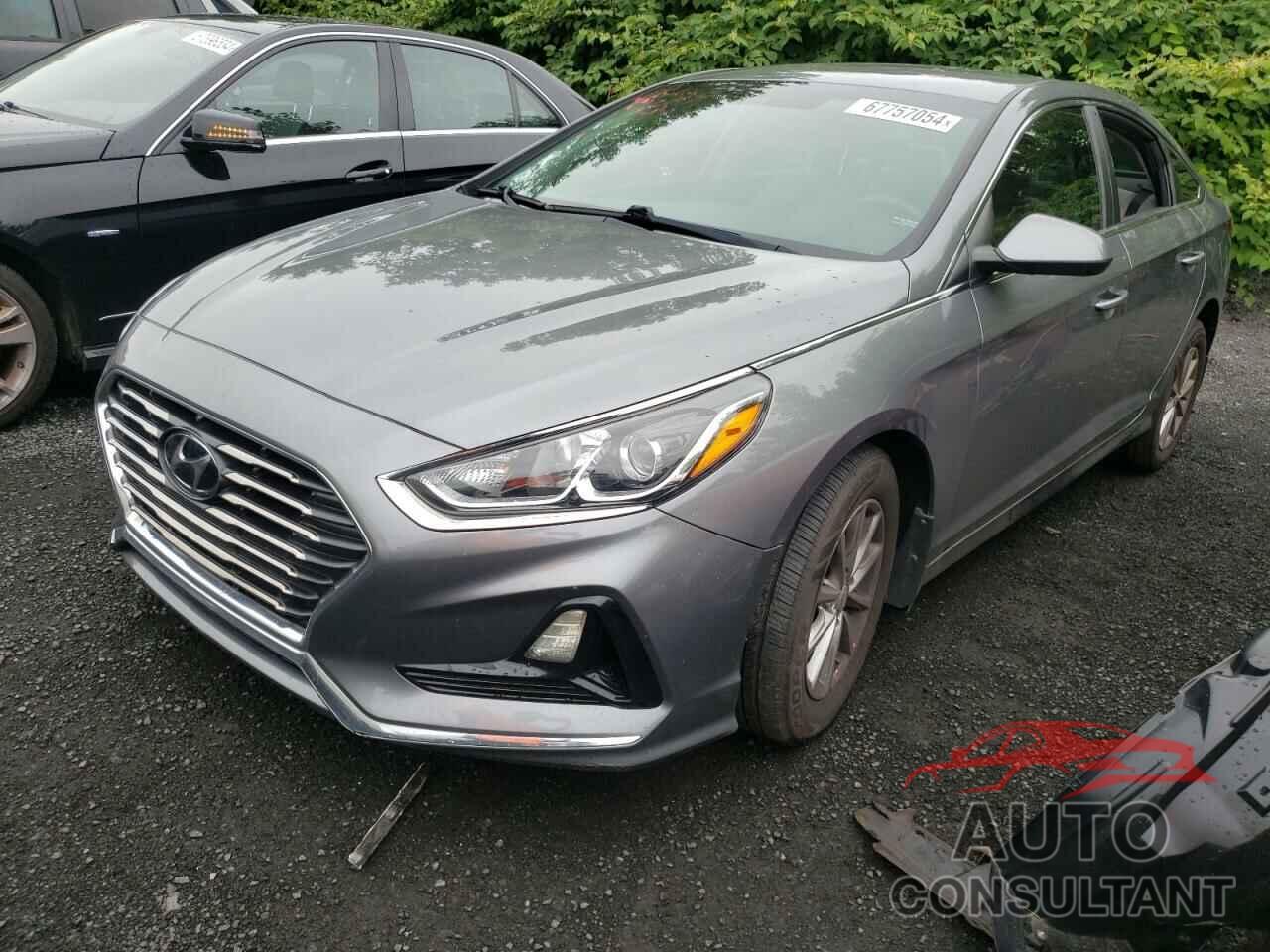 HYUNDAI SONATA 2018 - 5NPE24AF4JH699180