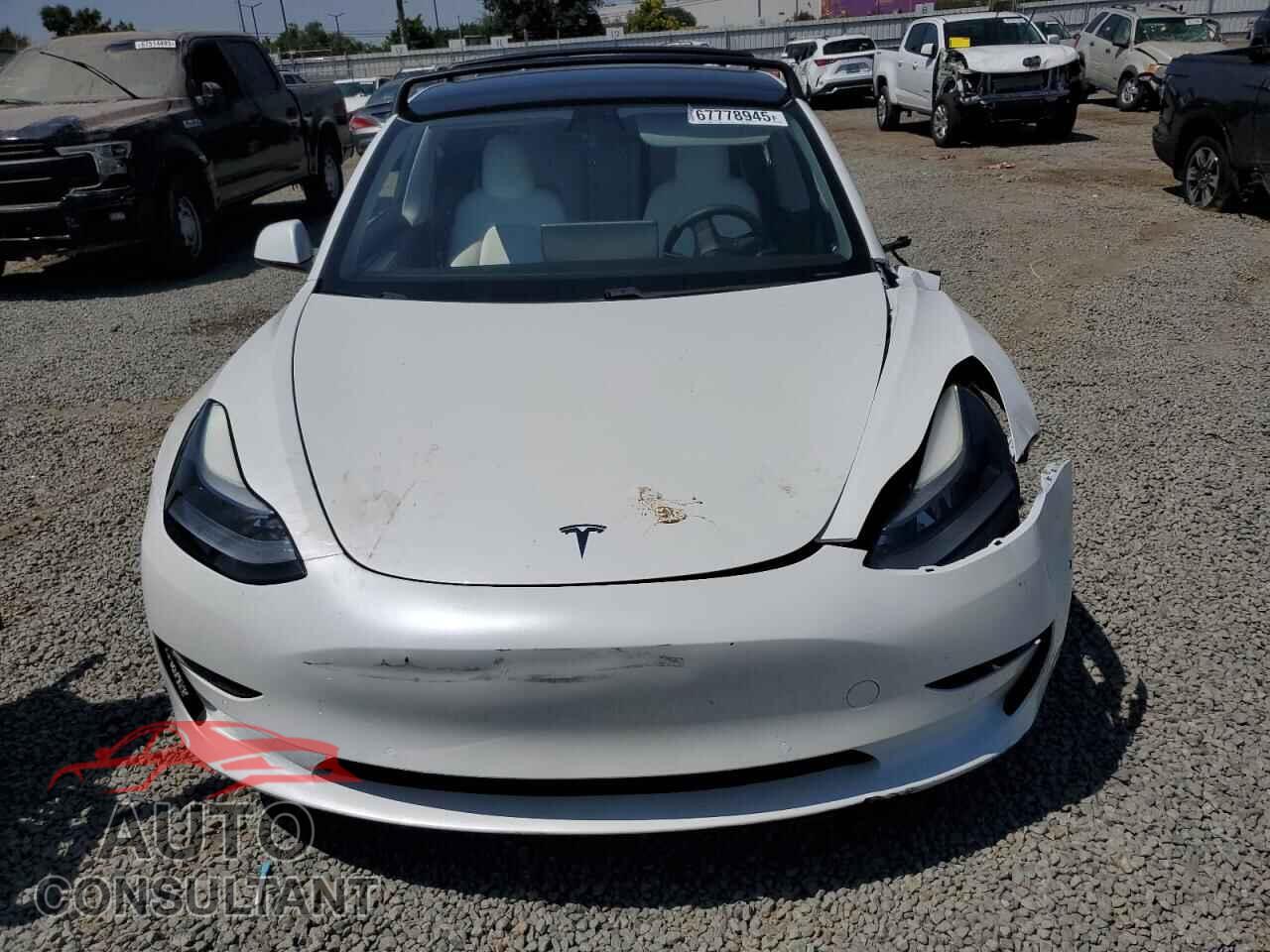 TESLA MODEL 3 2021 - 5YJ3E1EA1MF000800
