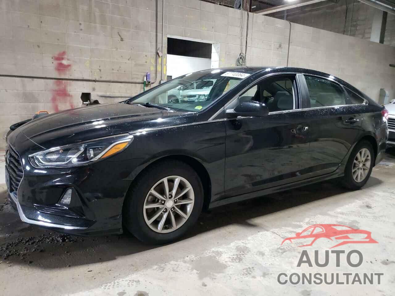 HYUNDAI SONATA 2019 - 5NPE24AF8KH746163