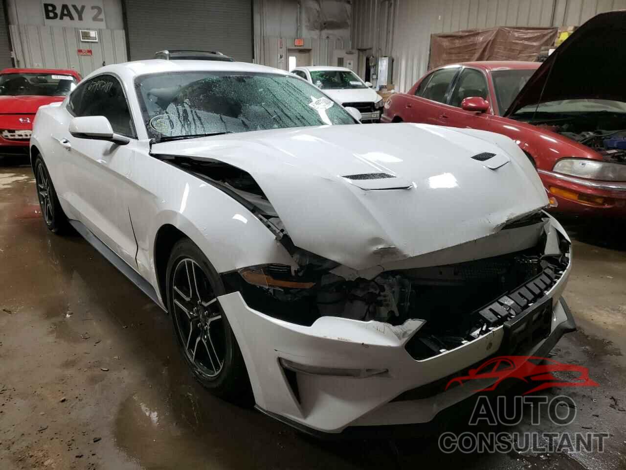 FORD MUSTANG 2019 - 1FA6P8TH5K5172591