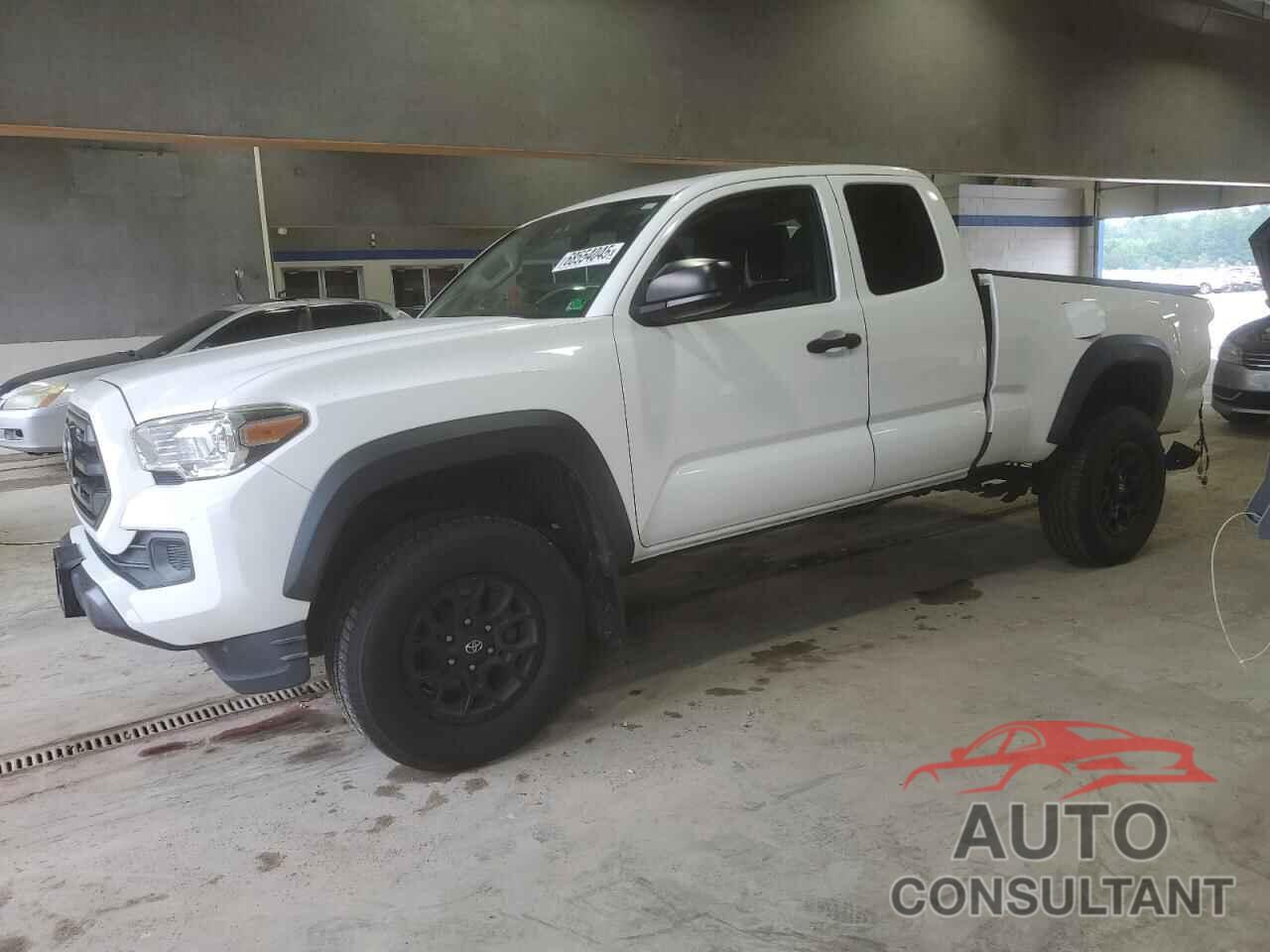 TOYOTA TACOMA 2019 - 5TFSZ5ANXKX202604