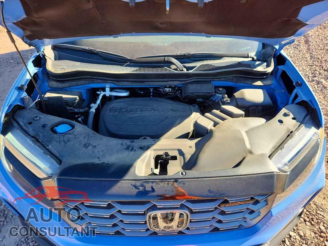 HONDA RIDGELINE 2024 - 5FPYK3F61RB032505