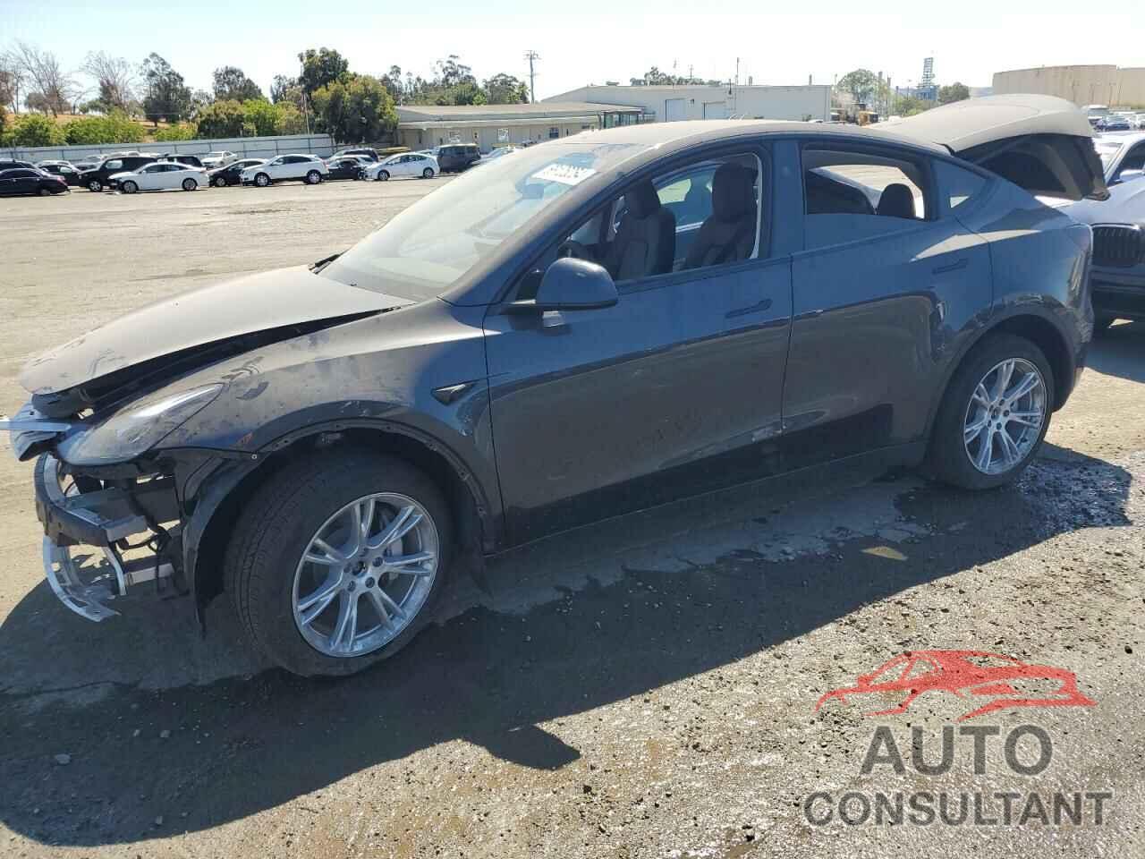 TESLA MODEL Y 2024 - 7SAYGDEEXRF985015