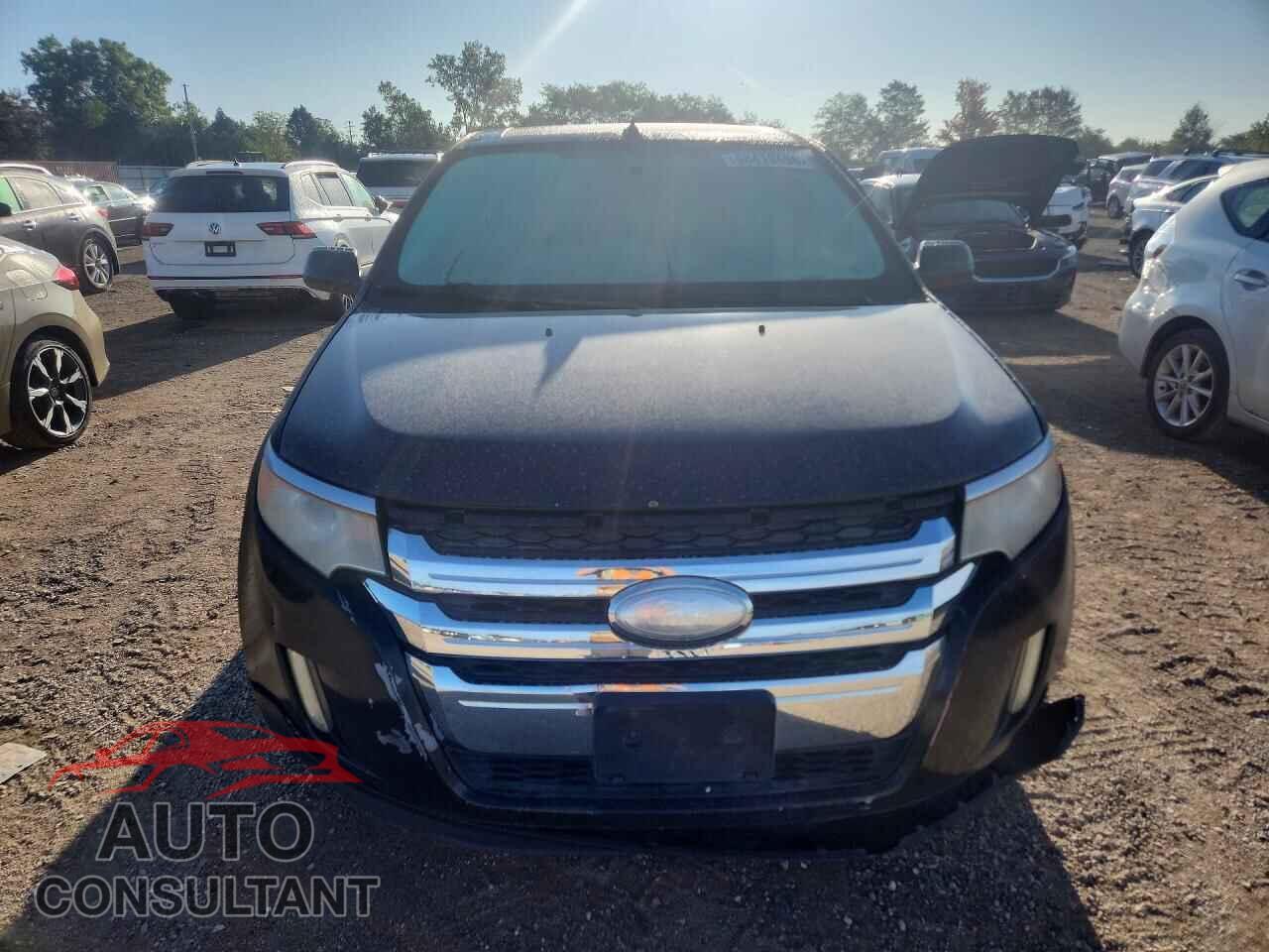 FORD EDGE 2011 - 2FMDK3KC3BBB10641