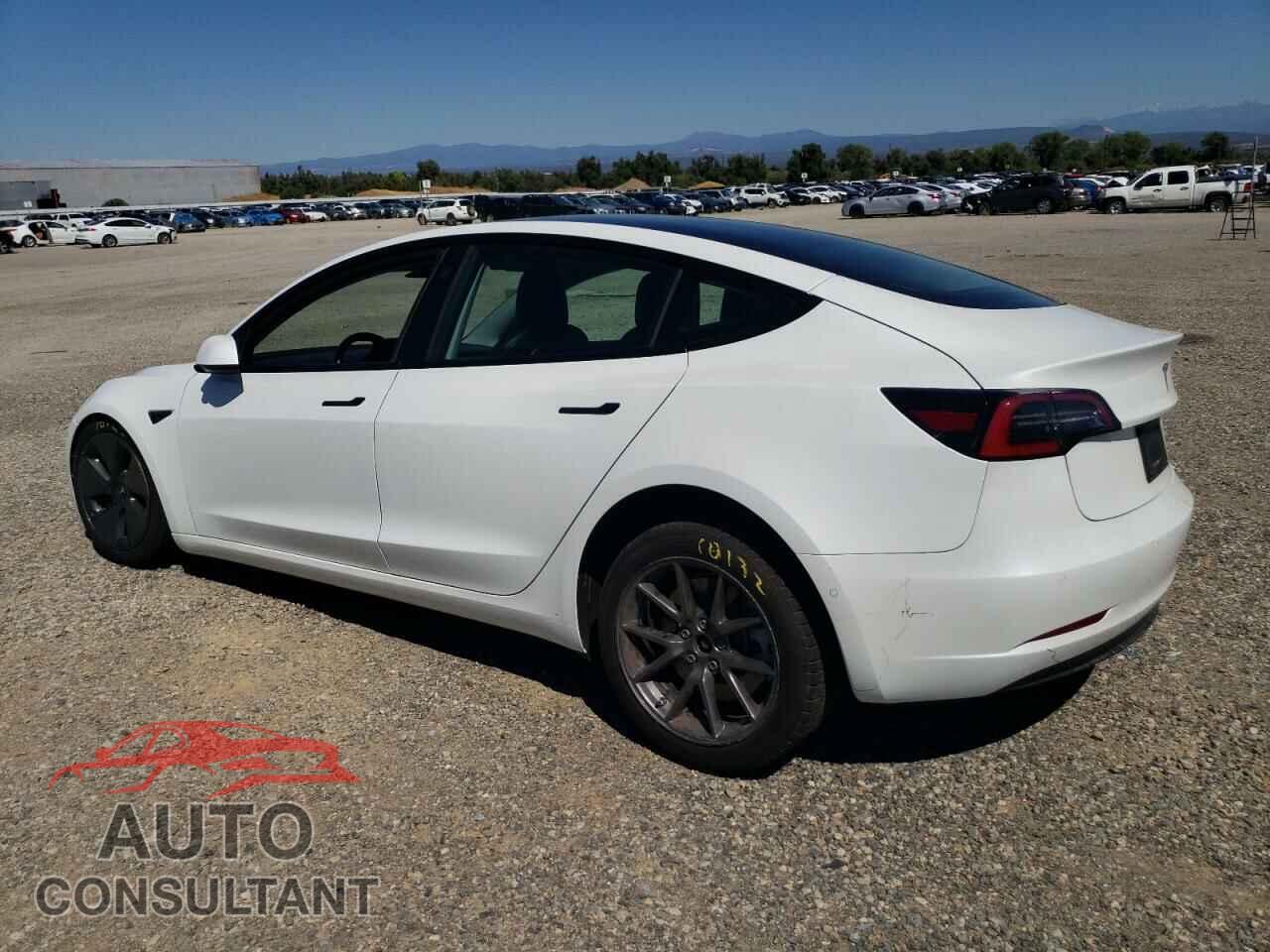 TESLA MODEL 3 2021 - 5YJ3E1EA8MF061397