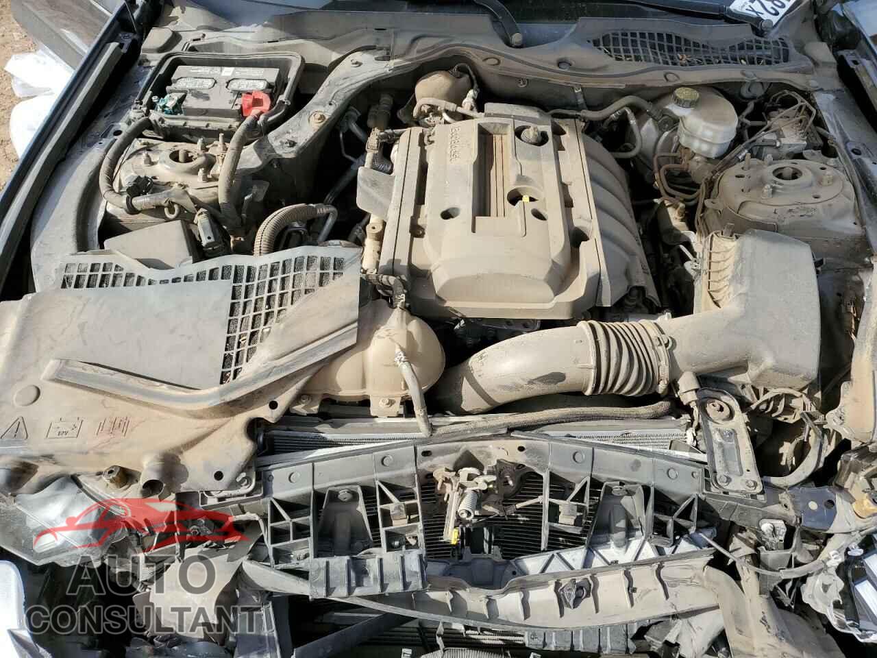 FORD MUSTANG 2019 - 1FA6P8TH1K5185788