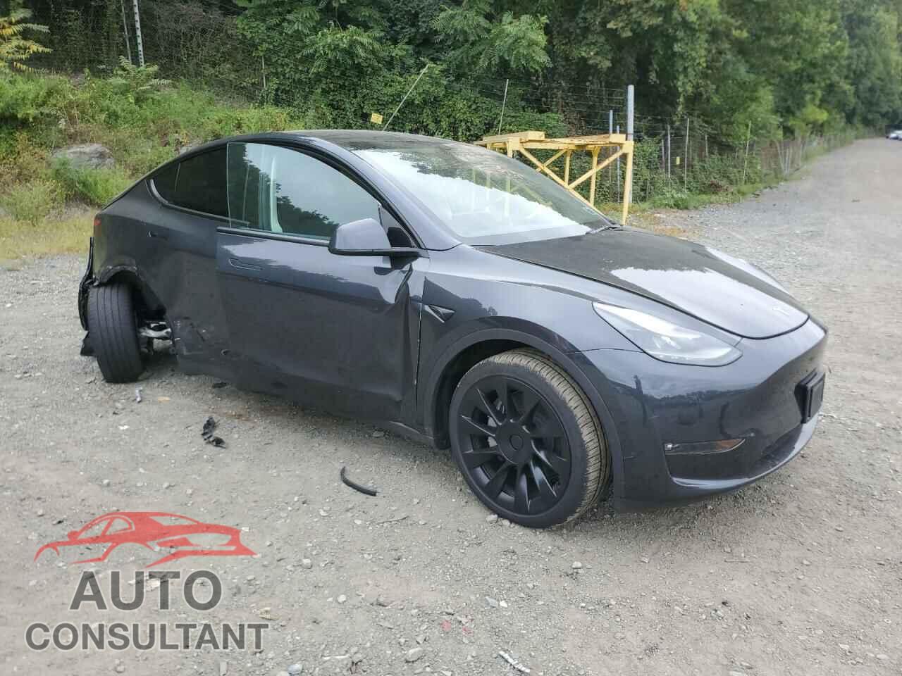 TESLA MODEL Y 2024 - 7SAYGDEE8RF033193