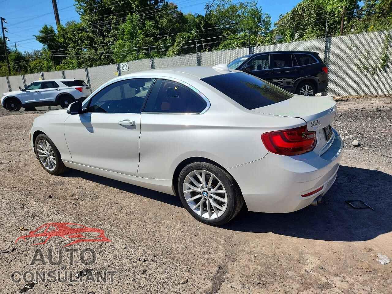 BMW 2 SERIES 2015 - WBA1F9C52FVW98778