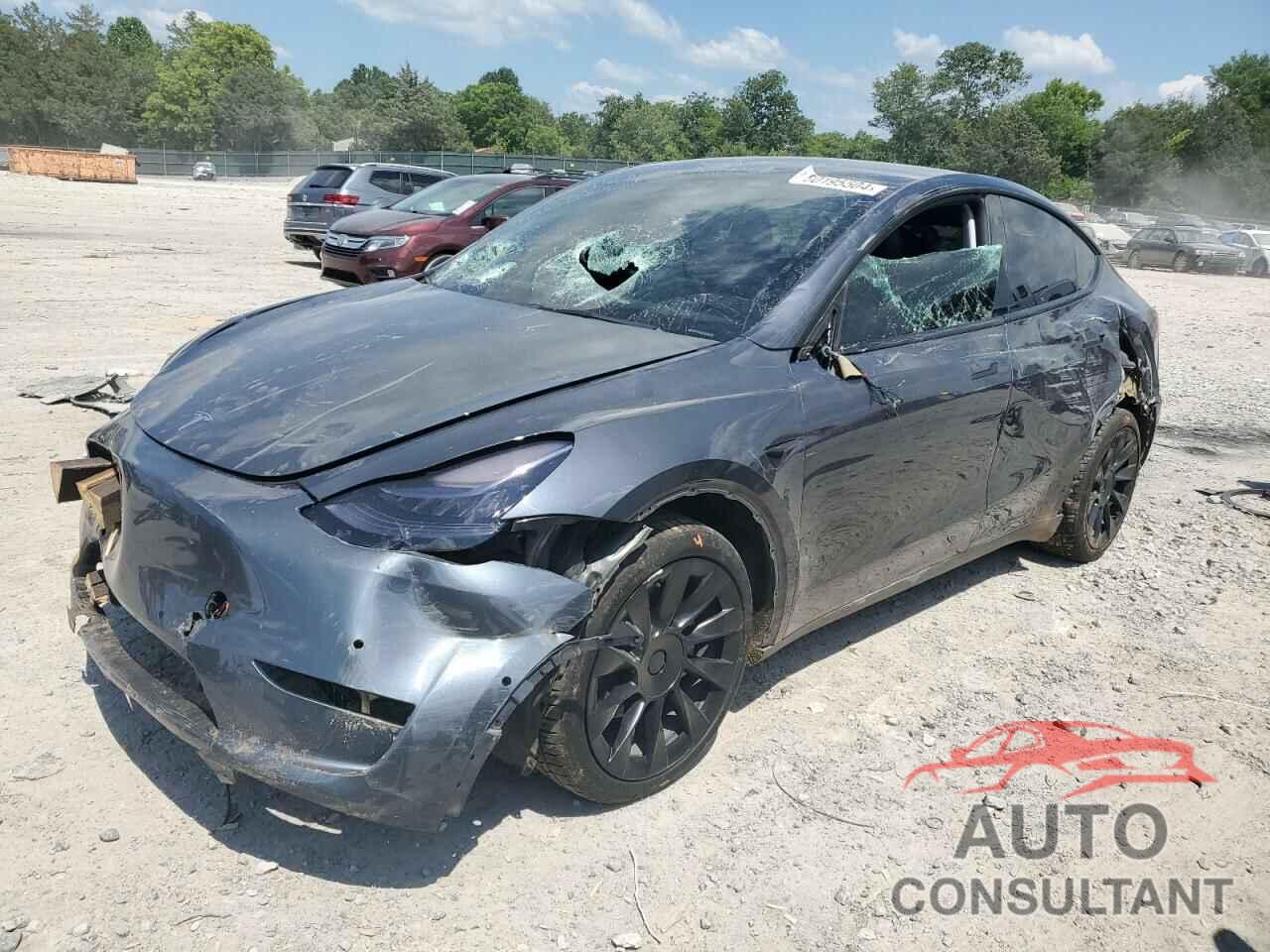 TESLA MODEL Y 2022 - 7SAYGDEE2NF412846