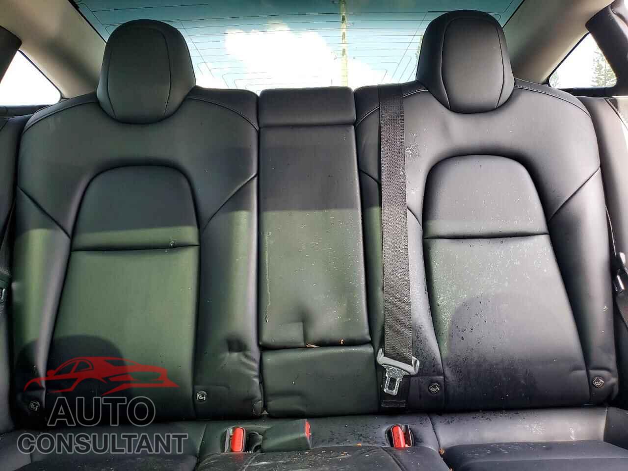 TESLA MODEL 3 2019 - 5YJ3E1EBXKF365546