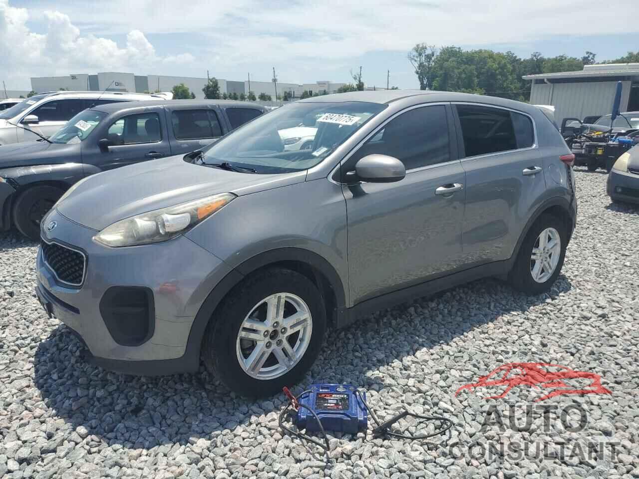 KIA SPORTAGE 2017 - KNDPM3AC8H7037491