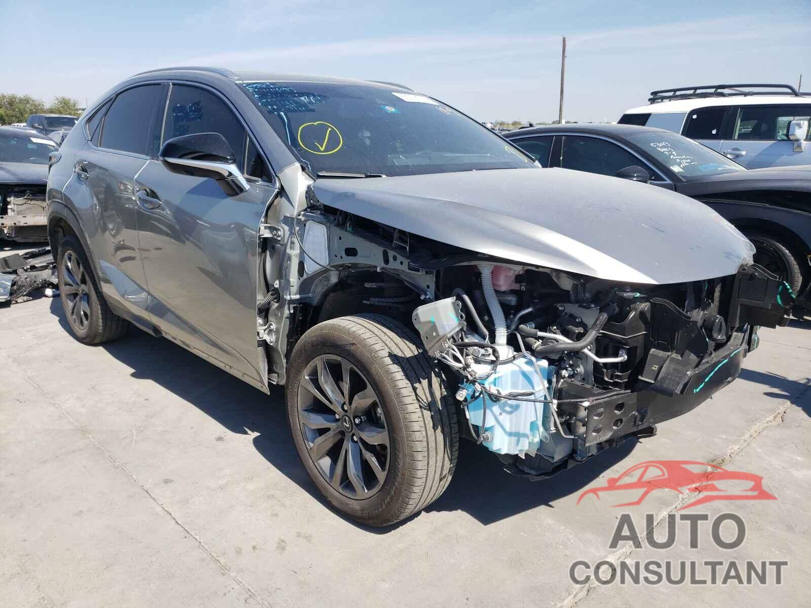 LEXUS NX 2020 - JTJSARBZXL2177795