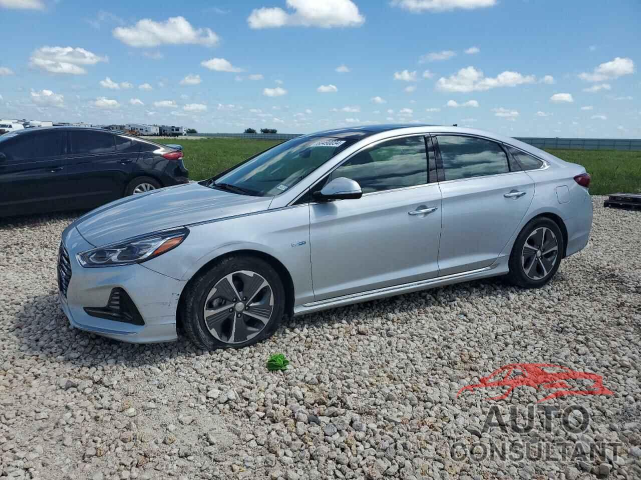 HYUNDAI SONATA 2019 - KMHE34L38KA093496