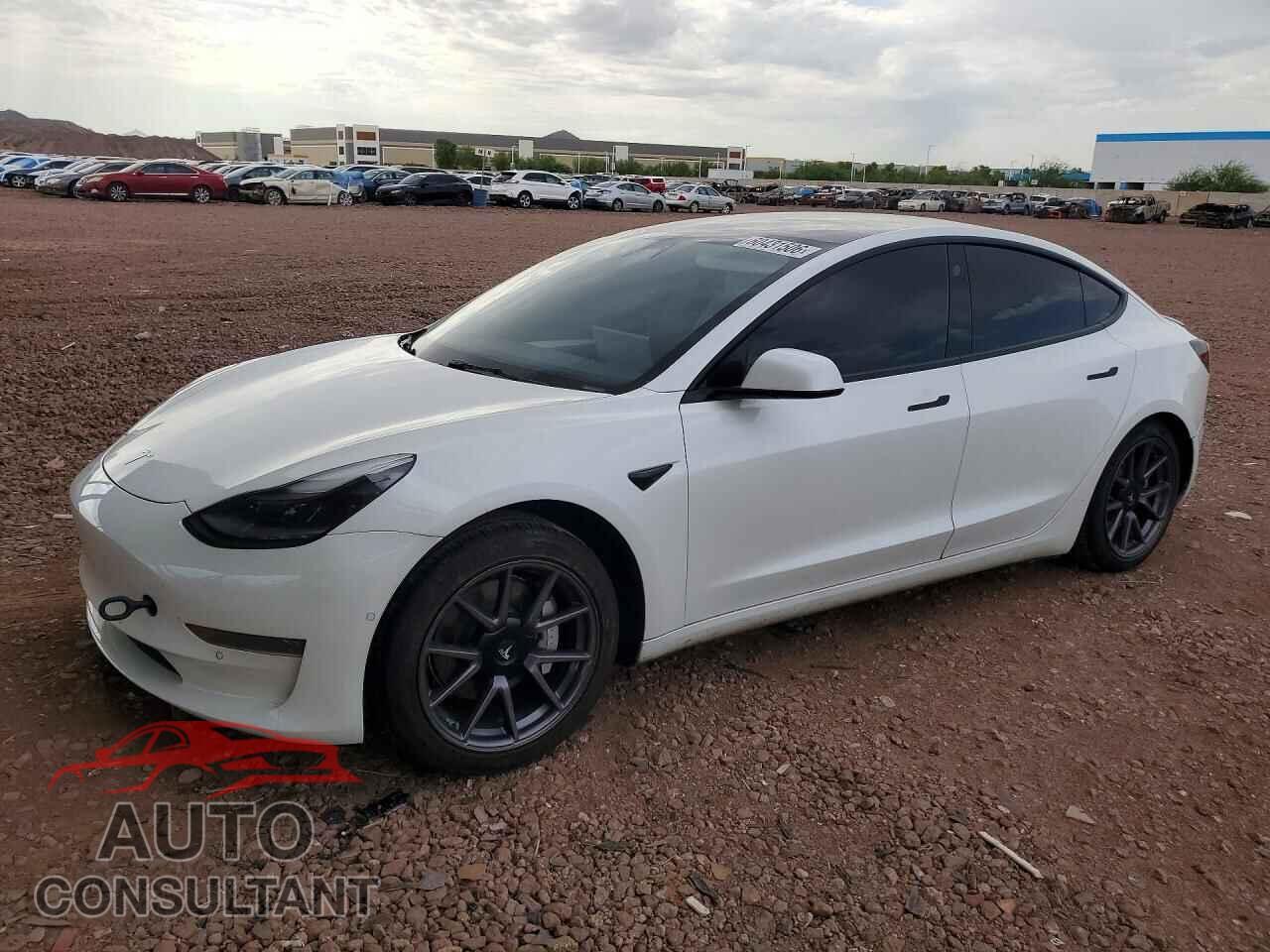 TESLA MODEL 3 2021 - 5YJ3E1EA1MF096010