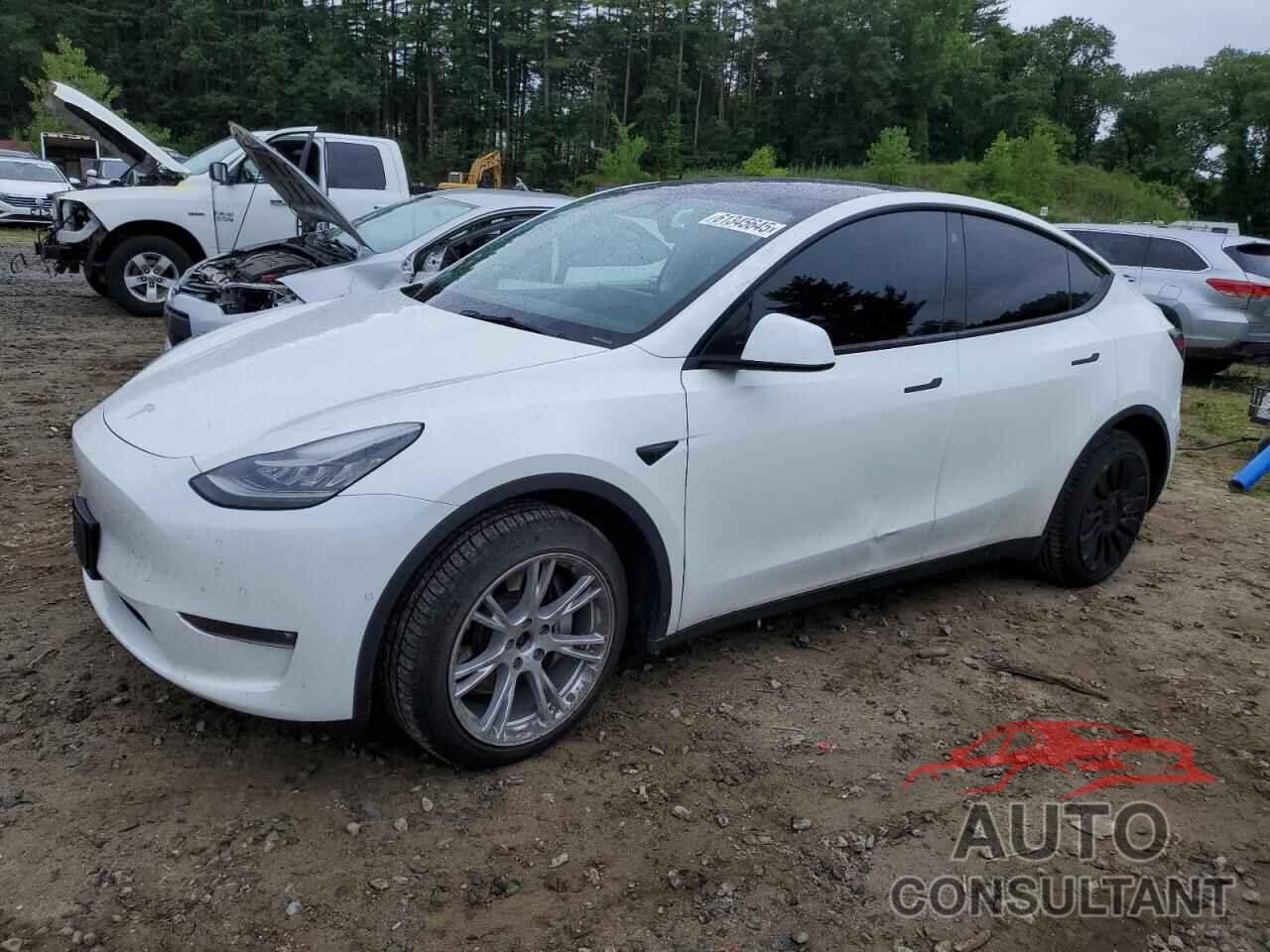 TESLA MODEL Y 2021 - 5YJYGDEE6MF185379