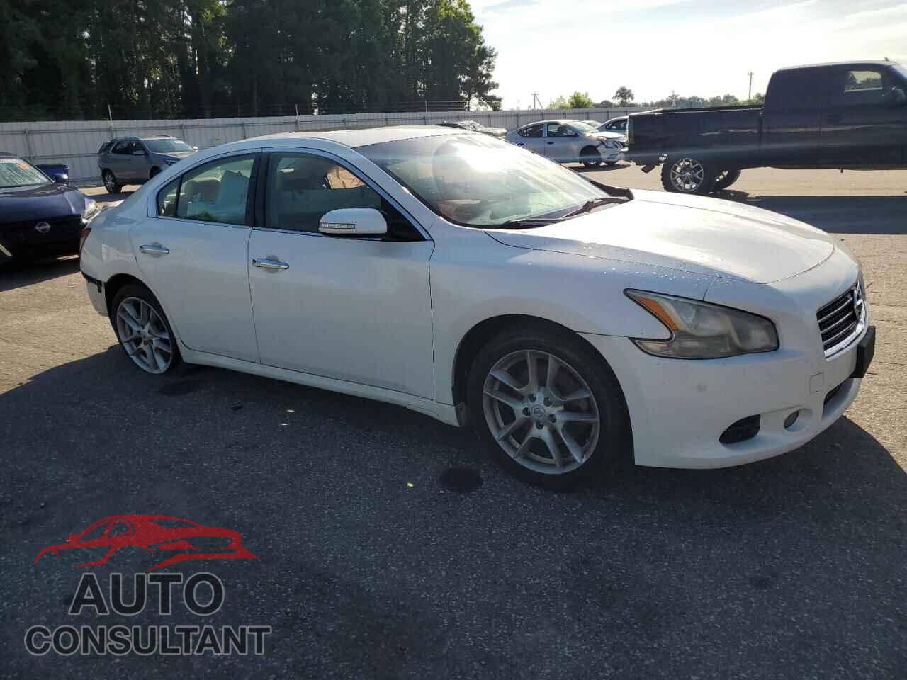 NISSAN MAXIMA 2011 - 1N4AA5AP7BC831237