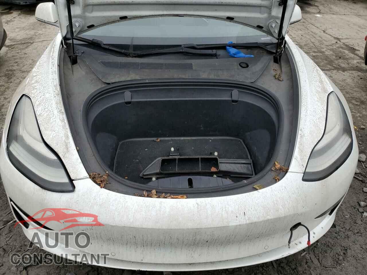 TESLA MODEL 3 2019 - 5YJ3E1EA3KF332041