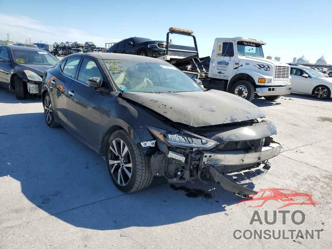 NISSAN MAXIMA 2019 - 1N4AA6AV9KC361149