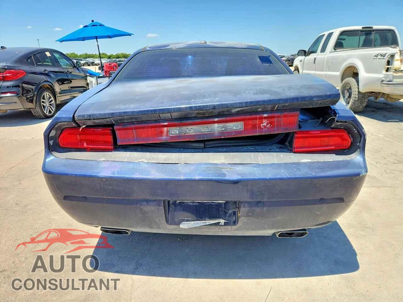 DODGE CHALLENGER 2013 - 2C3CDYBTXDH565997