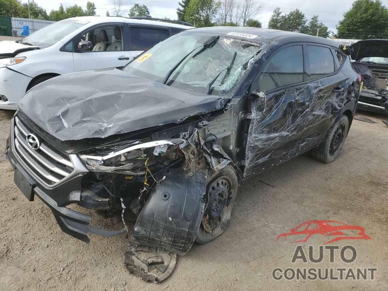 HYUNDAI TUCSON 2017 - KM8J23A40HU394620