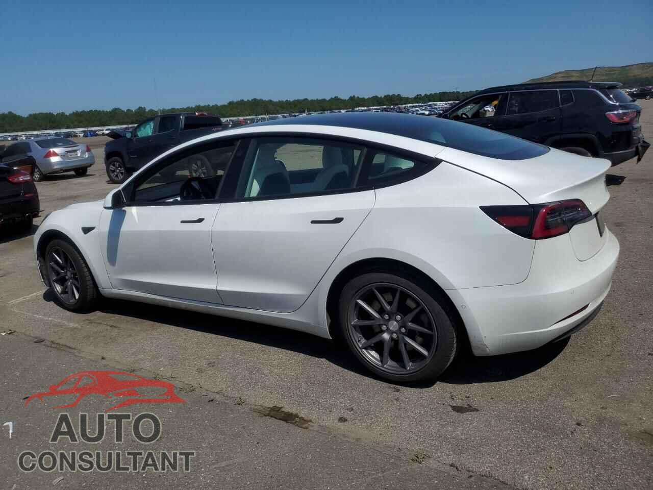 TESLA MODEL 3 2021 - 5YJ3E1EBXMF858582